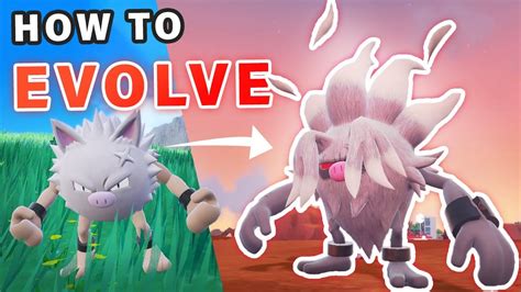 How to evolve Primeape into Annihilape in Pokémon。